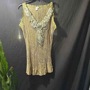 Bought this shirt and never wore